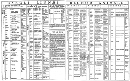 Линнеевская классификация животных. Страница из первого изданиякниги "Система природы" (1735)