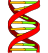 48px-DNA icon.svg.png