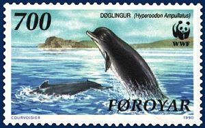 413px-Faroe stamp 200 Hyperoodon ampullatus.jpg